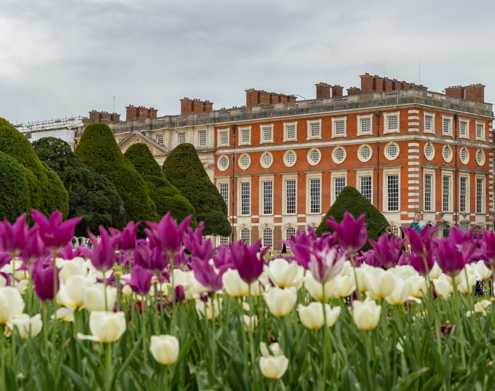 Hampton Court