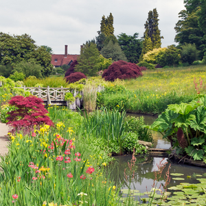 Shrubs at Wisley