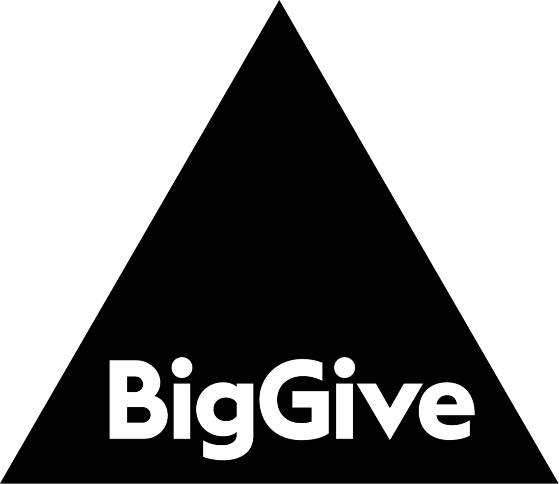 Big Give logo